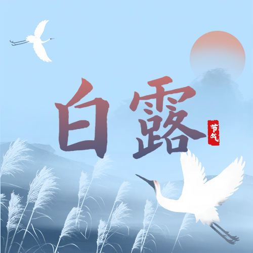 白露 | 蒹葭苍苍，白露为霜