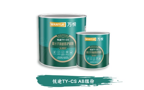 悦途TY-CS AB组份